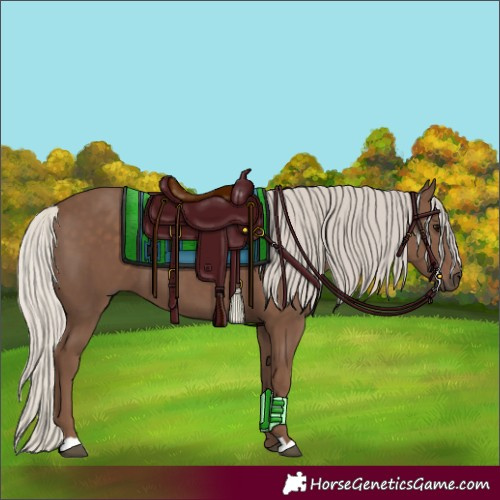 Horse Color:Silver Black