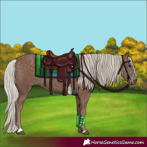 Horse Color:Silver Black 