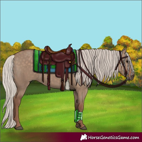 Horse Color:Silver Grullo 