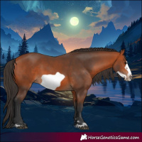 Horse Color:Bay Frame