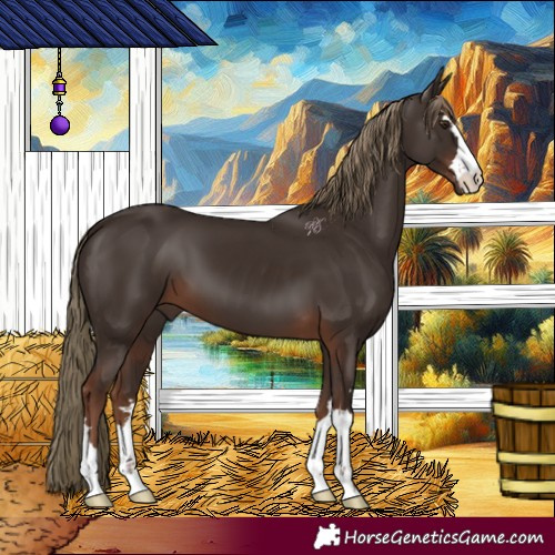 Horse Color:Liver Chestnut 