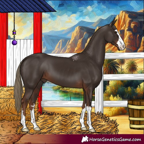 Horse Color:Liver Chestnut 