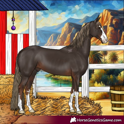 Horse Color:Liver Chestnut 