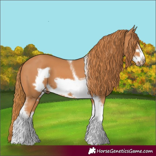 Horse Color:Chestnut Tobiano Frame 