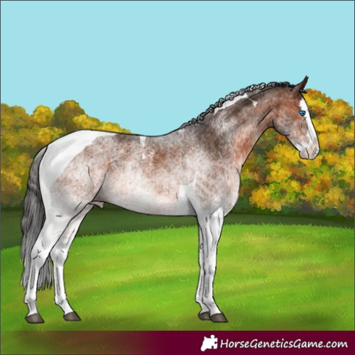 Horse Color:White Spotted Brown Splash Tobiano