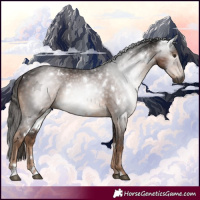 Horse Color:Gray White Spotted Liver Chestnut 
