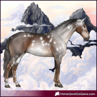 Horse Color:Gray White Spotted Liver Chestnut