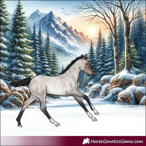 Horse Color:Brown Roan Dun Rabicano