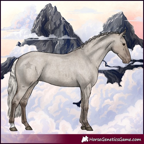 Horse Color:Silver Grullo Roan Appaloosa Rabicano