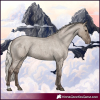 Horse Color:Silver Grullo Roan Appaloosa Rabicano 