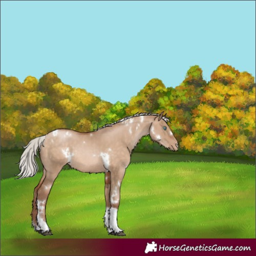Horse Color:White Spotted Silver Brown Pearl Dun Tobiano Rabicano