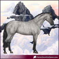 Horse Color:Grullo Roan Rabicano 