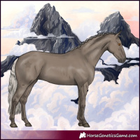 Horse Color:Silver Grullo 