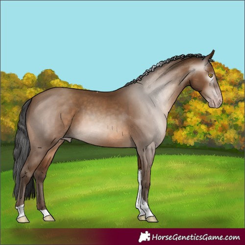 Horse Color:Gray Amber Champagne Tobiano