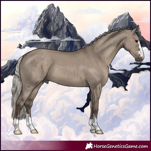 Horse Color:Silver Grullo 
