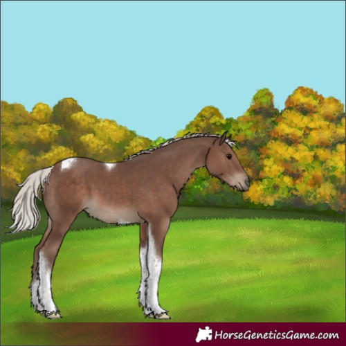 Horse Color:Silver Black Tobiano 