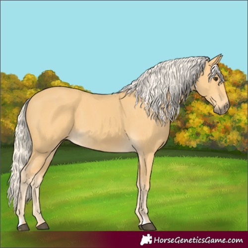 Horse Color:Palomino