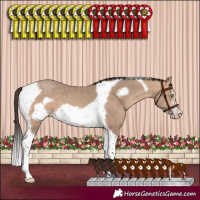 Horse Color:Amber Champagne Sabino Tobiano Frame 
