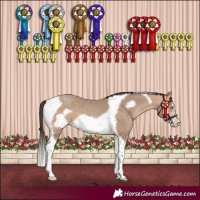 Horse Color:Amber Champagne Sabino Tobiano Frame 