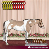 Horse Color:Amber Champagne Sabino Tobiano Frame