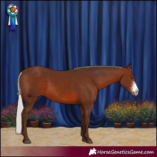 Horse Color:Silver Bay Sabino Rabicano 