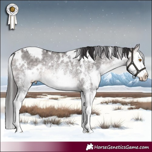 Horse Color:Platinum White Spotted Buckskin Dun Splash Rabicano 