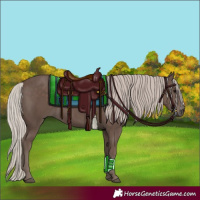 Horse Color:Silver Black 