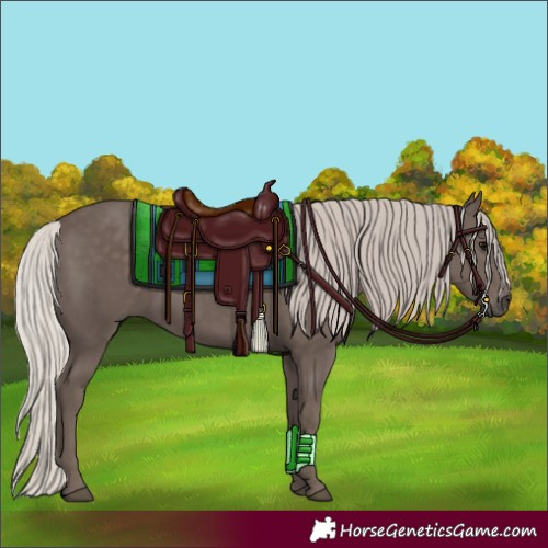 Horse Color:Silver Black