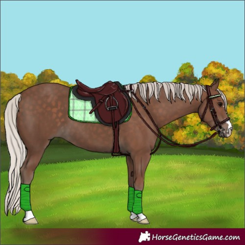 Horse Color:Silver Black 