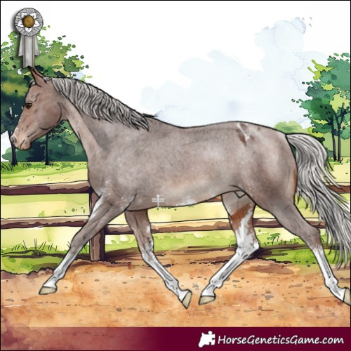 Horse Color:Silver Brown Sabino Varnish Rabicano 