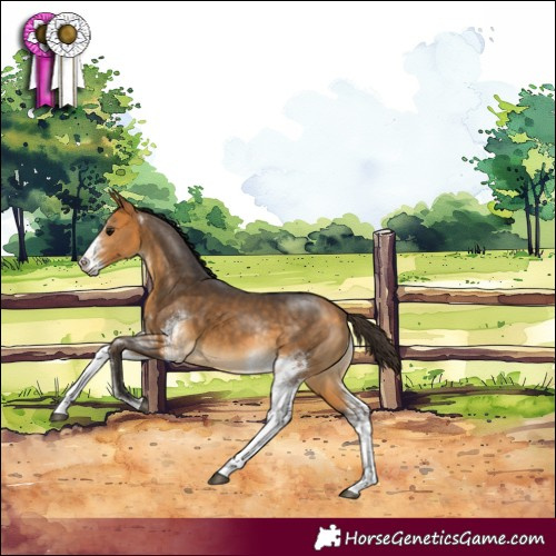 Horse Color:Buckskin Sabino Rabicano 