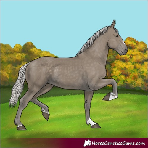 Horse Color:Silver Smoky Black 