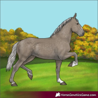 Horse Color:Silver Smoky Black 