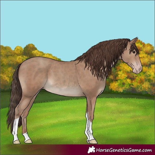 Horse Color:Classic Champagne Tobiano 