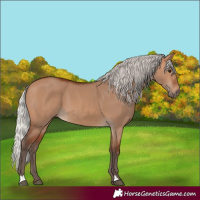 Horse Color:Silver Brown Dun 
