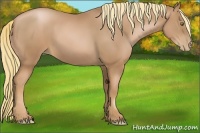 Horse Color:Chestnut Pearl
