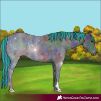 Horse Color:Painted Nacre Brown Rabicano 