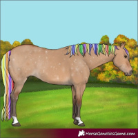 Horse Color:Painted Silver Bay Dun Rabicano 