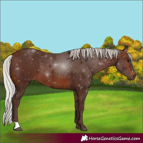 Horse Color:Silver Brown 