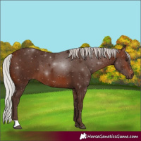 Horse Color:Silver Brown