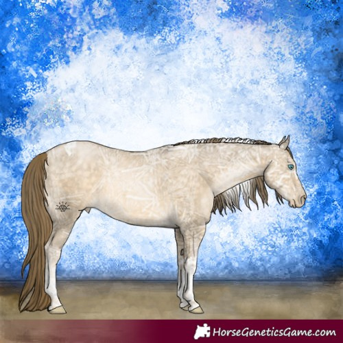Horse Color:Buckskin Ice Pearl Tobiano 