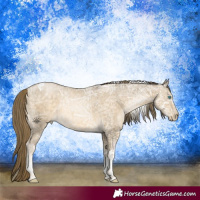 Horse Color:Buckskin Ice Pearl Tobiano