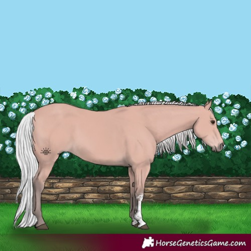 Horse Color:Platinum Silver Bay Sabino 