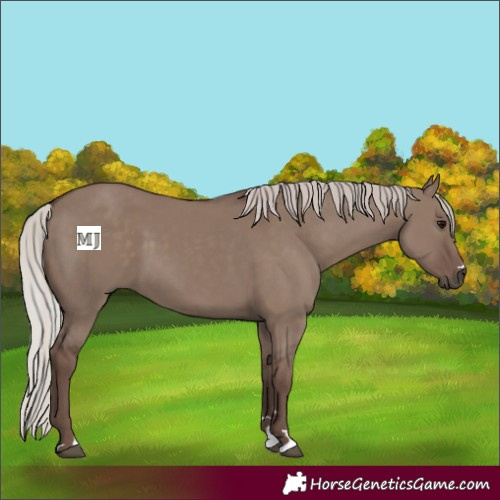 Horse Color:Silver Grullo