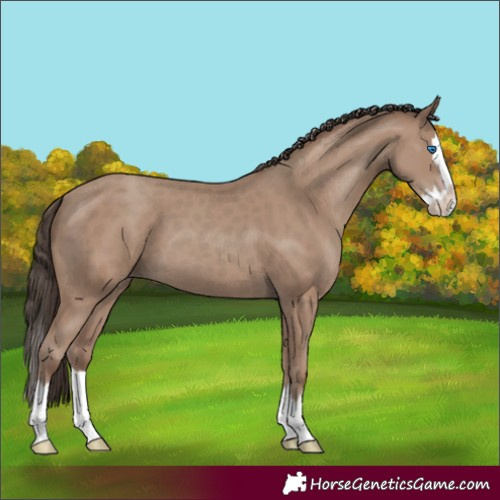 Horse Color:Classic Champagne Splash 