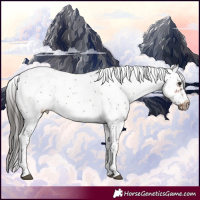 Horse Color:Bay Sabino Frame