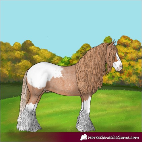 Horse Color:Red Roan Splash Snowcap