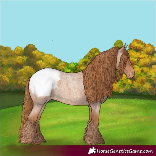 Horse Color:Red Roan Snowcap