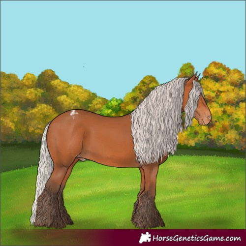 Horse Color:Silver Bay Varnish