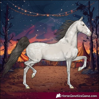 Horse Color:Classic Cream Champagne Ice Dun 